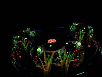 Similar image 21825329