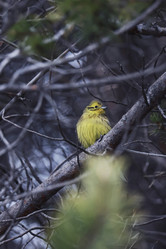 Similar image 21821553