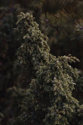 Similar image 21821554