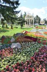 Similar image 21818015