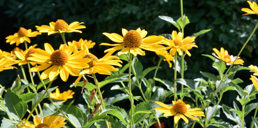 Similar image 21818016