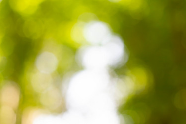 Similar image 21820785