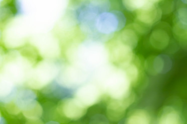 Similar image 21820789