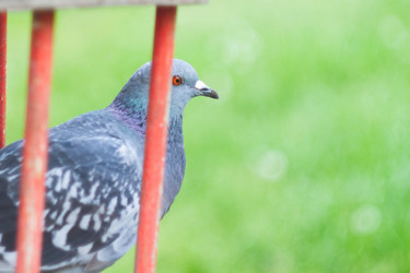 Similar image 21820796