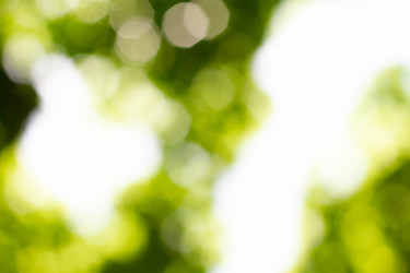 Similar image 21820799