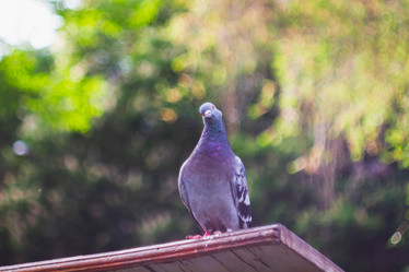 Similar image 21820819