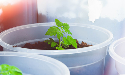 Similar image 21819572