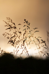 Similar image 21819579