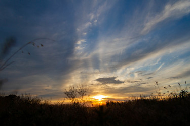 Similar image 21819581