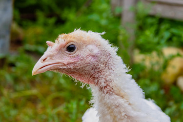 Similar image 21819594