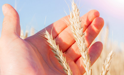 Similar image 21819597