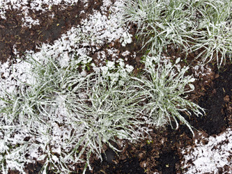 Similar image 21822774