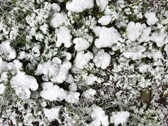 Similar image 21818368