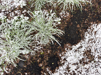 Similar image 21819956