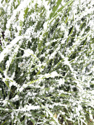 Similar image 21818370