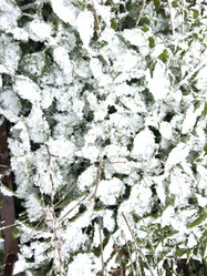 Similar image 21819958