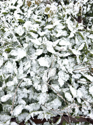 Similar image 21818371