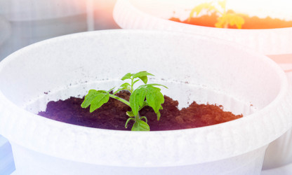 Similar image 21820828