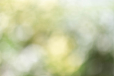 Similar image 21820833