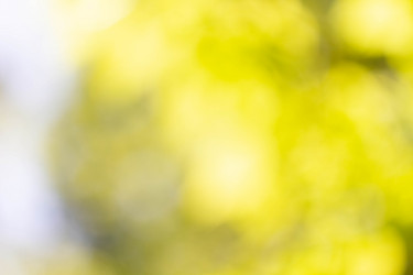 Similar image 21820835