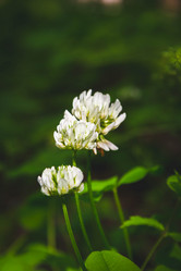 Similar image 21820865