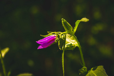 Similar image 21820873