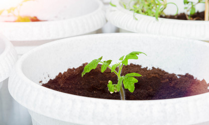 Similar image 21820884