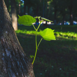 Similar image 21820886