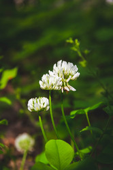 Similar image 21820906