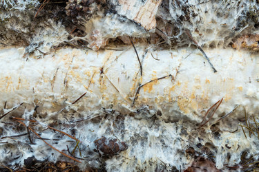 Similar image 21819967