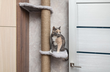 Similar image 21819970