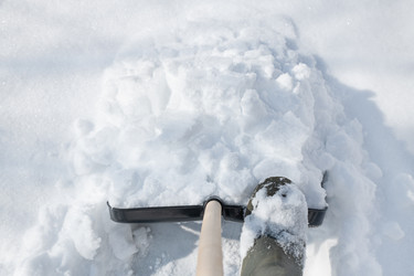 Similar image 21819978