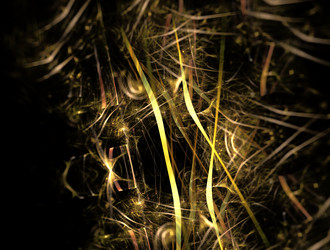 Similar image 21821703