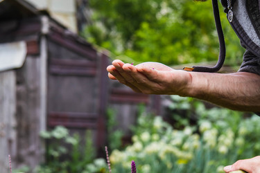 Similar image 21819606