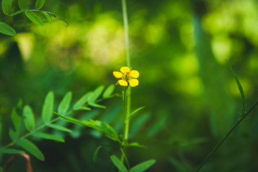 Similar image 21819611