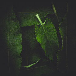 Similar image 21819620