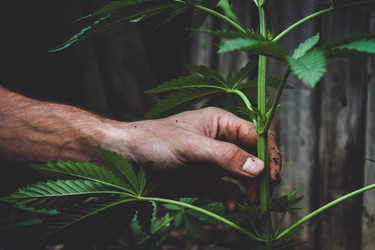 Similar image 21819628