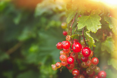 Similar image 21819656