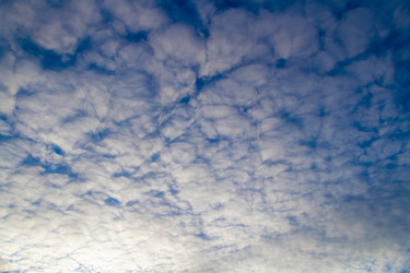 Similar image 21819661