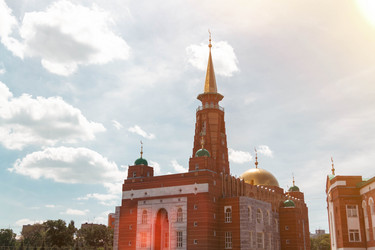 Similar image 21819662