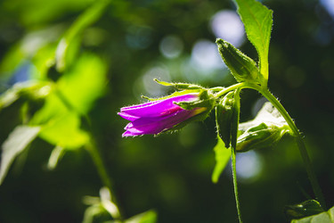 Similar image 21819663