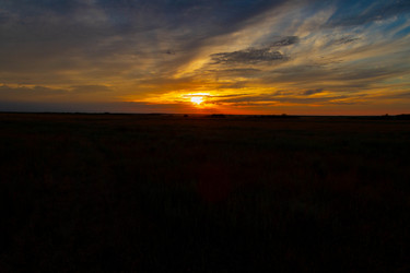 Similar image 21819666