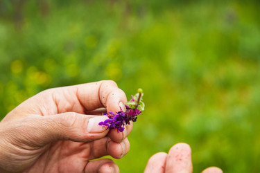 Similar image 21820431