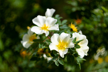 Similar image 21820434