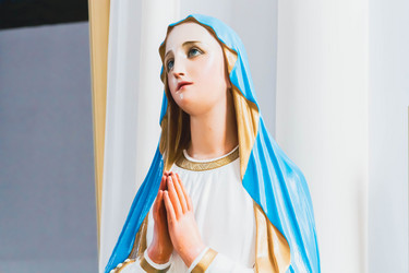 Similar image 21820442