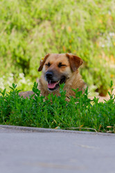 Similar image 21820445