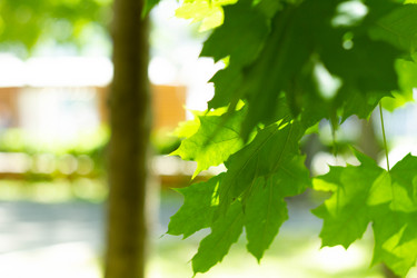 Similar image 21820914