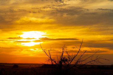 Similar image 21820923