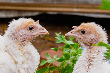 Similar image 21820928