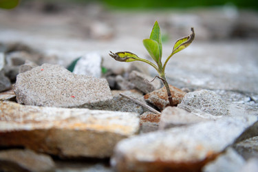 Similar image 21820933